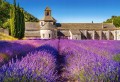 Puzzle Castorland 1000 elem. Lavender Field