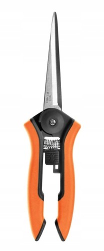 Sekator do kwiatów Galicja Verdenia 8 cm