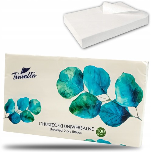 Chusteczki higieniczne bezzapachowe Ravi 2 warst. 100 szt.