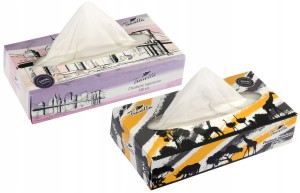 Chusteczki higieniczne bezzapachowe Ravi 2 warst. 100 szt.