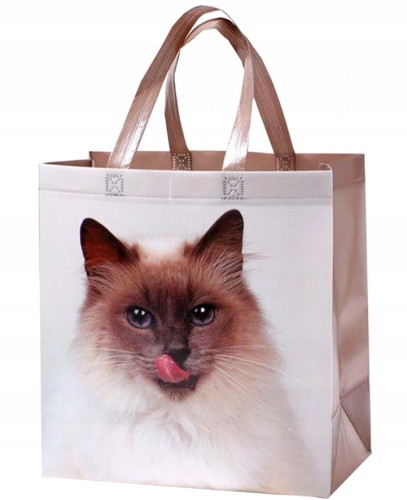 Torba na zakupy Ravi kot poliester